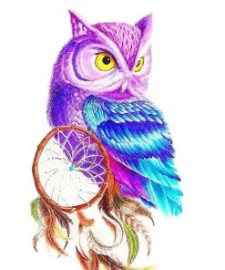 Colorful Owl Dream Catcher Paint By Numbers