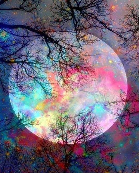 Finalizing Goodnight Moon Nocturnal Landscape Paint By Numbers Artwork