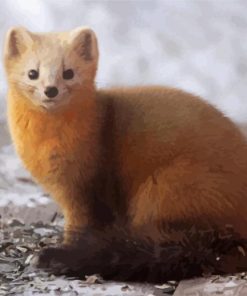 Sable Wildlife Paint By Numbers