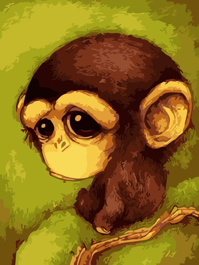 Emotional Monkey Animal Paint By Numbers