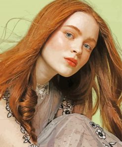 Sadie Sink Celebrity Paint By Numbers