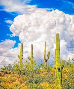 Saguaro Cactus Landscape Paint By Numbers
