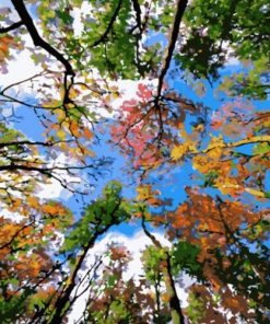 Majestic Tree Sky Landscape Paint By Numbers