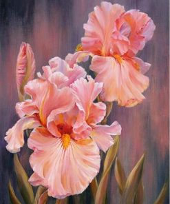 Rose Flower Oil Painting Paint By Numbers