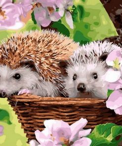 Adorable Hedgehog Animals Paint By Numbers