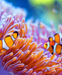 Colorful Sea Anemones Paint By Numbers