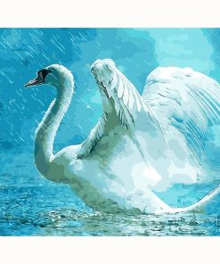 Swan and Rainy Birds Paint By Numbers