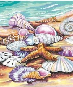 Seashell Beach Landscape Paint By Numbers
