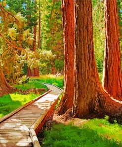 Sequoia Forest Path Painting Paint By Numbers