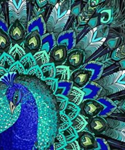 Blue Peacock Birds Paint By Numbers