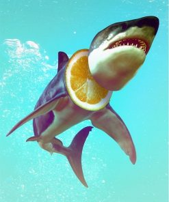Shark Paint Masterpiece Paint By Numbers