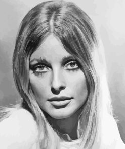 Sharon Tate Iconic Paint By Numbers
