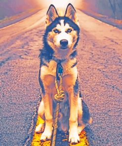 Siberian Husky in Nature Paint By Numbers