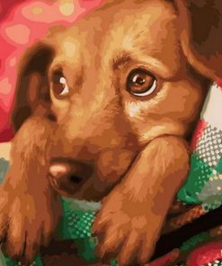 Festive Dog Art Paint By Numbers