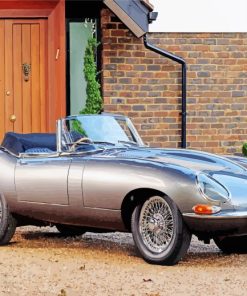 Silver Jaguar E Type Paint By Numbers