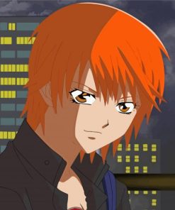 Skip Beat Comic Characters Paint By Numbers