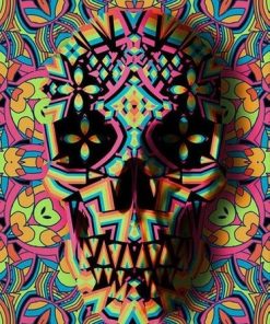 Skull Abstract Mandala Paint By Numbers