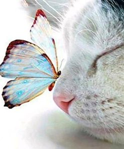 Cat and Butterfly Wildlife Paint By Numbers