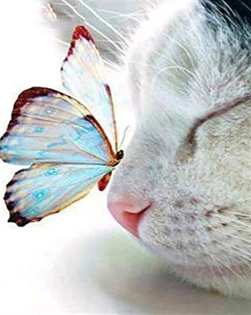 Sleeping_Cat_and_Butterfly_-_Animals_Paint_By_Numbers