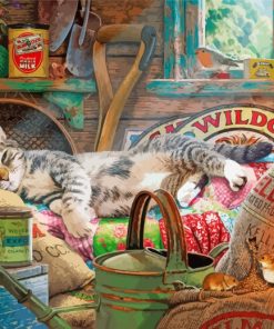Sleepy Kitten Paint By Numbers