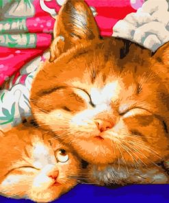 Sleepy Cat Companions Paint By Numbers