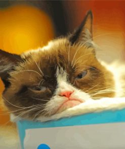 Grumpy Cat Sleepy Feline Paint By Numbers