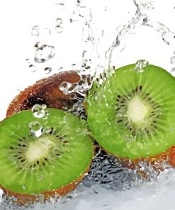 Sliced Kiwi Fruit Paint By Numbers