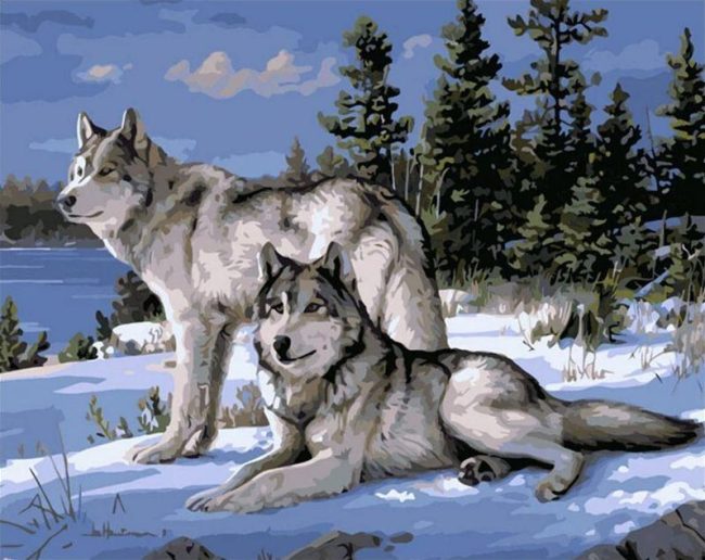 Gray Wolves Wildlife Paint By Numbers