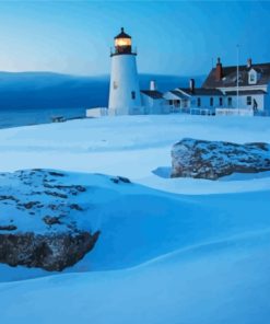 Snowy Pemaquid Maine Paint By Numbers