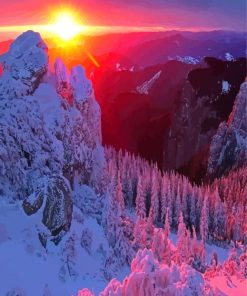 Snowy Forest Sunlight Paint By Numbers