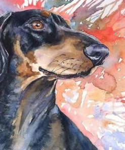 Dachshund Dog Splatter Paint By Numbers