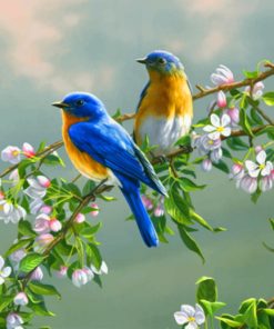 Springtime Bluebirds Paint By Numbers