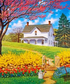 Farmhouse Countryside Scene Paint By Numbers