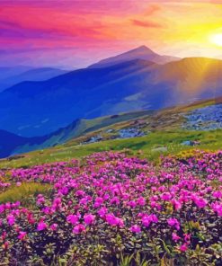 Spring Landscape Flowers Paint By Numbers
