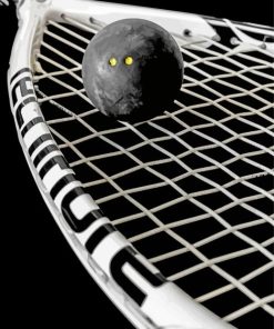 Squash Racket Black Ball Paint By Numbers