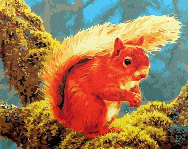 Squirrel Wildlife Paint By Numbers