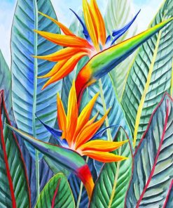 Strelitzia Exotic Plant Paint By Numbers