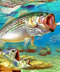 Striper Fish Ocean Life Paint By Numbers