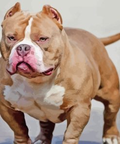 Majestic American Bully Dog Paint By Numbers