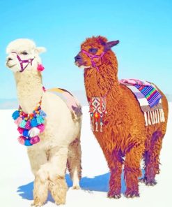 Stylish Alpaca Designs Paint By Numbers