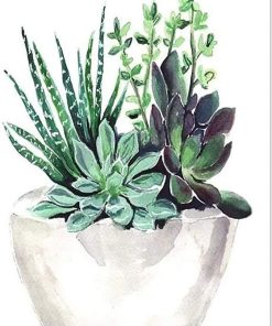 Succulent and Flower Art Paint By Numbers