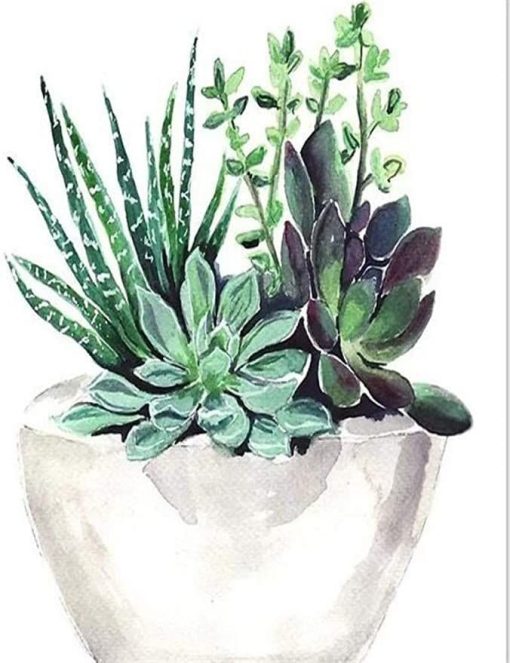 Succulent-Pot-DIY-Flowers-Paint-By-Numbers-PBN-12076