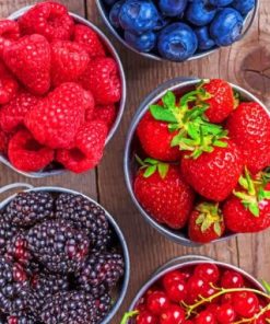 Berry Summer Fruits Paint By Numbers