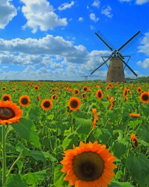 Sunflowers-field-paint-by-number