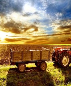 Farm Sunrise Landscape Paint By Numbers