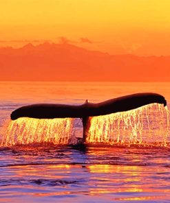 Whale Fluke Brown Sky Paint By Numbers