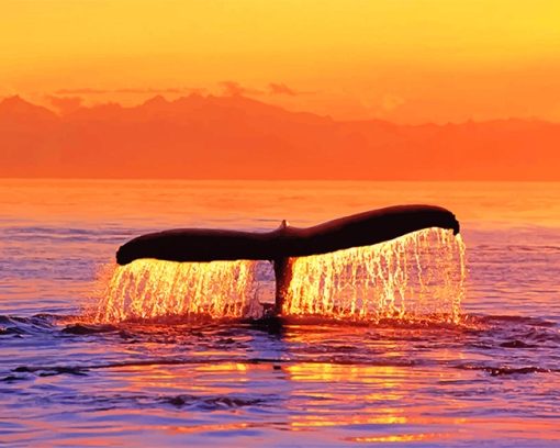 Sunset-whale-fluke-paint-by-numbers