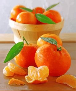Mandarine Oranges Delight Paint By Numbers