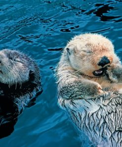 Otter Colorful Swimming Paint By Numbers