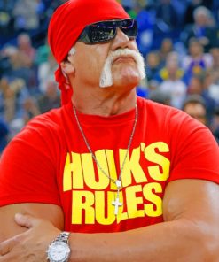 Hulk Hogan Wrestling Legend Paint By Numbers